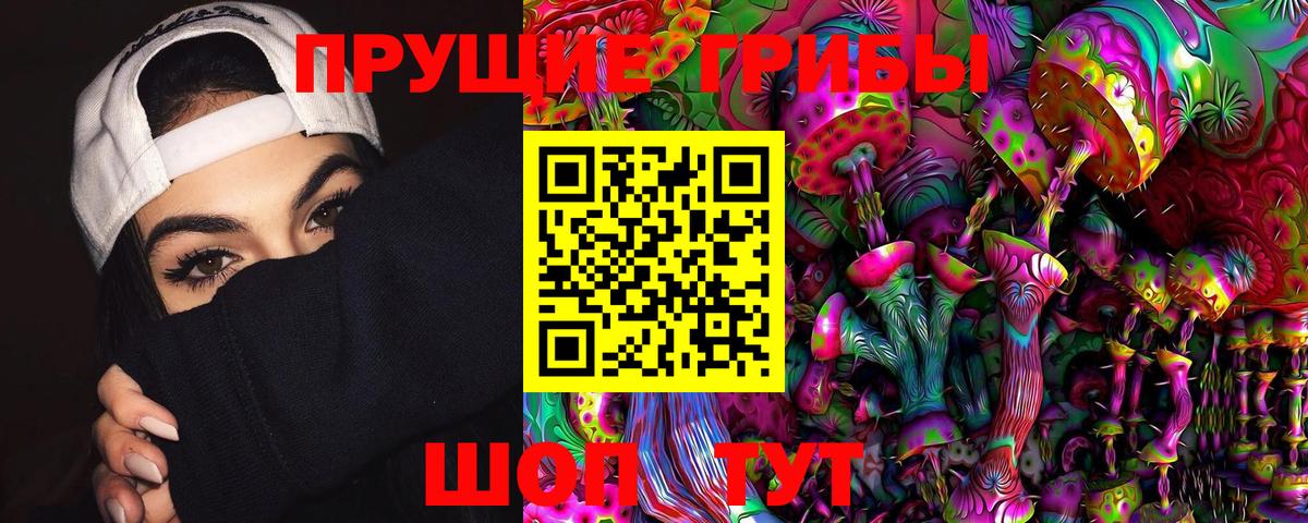 Котельники  Псилоцибиновые грибы GOLDEN TEACHER  Галлюциногенные грибы Magic Shrooms  Вход с VPN 