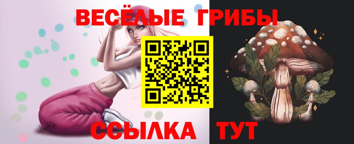Галлюциногенные грибы MAGIC MUSHROOMS Котельники
